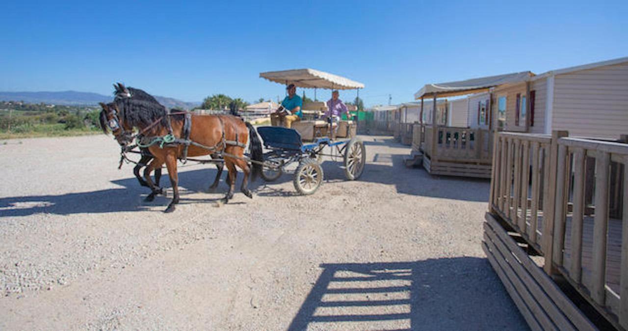 Bungalows-Casas Rurales Da Luigi-4 Adultos-2 Dormitorios-Piscina-Paseos A Caballo-Cartama-Malaga Exterior foto